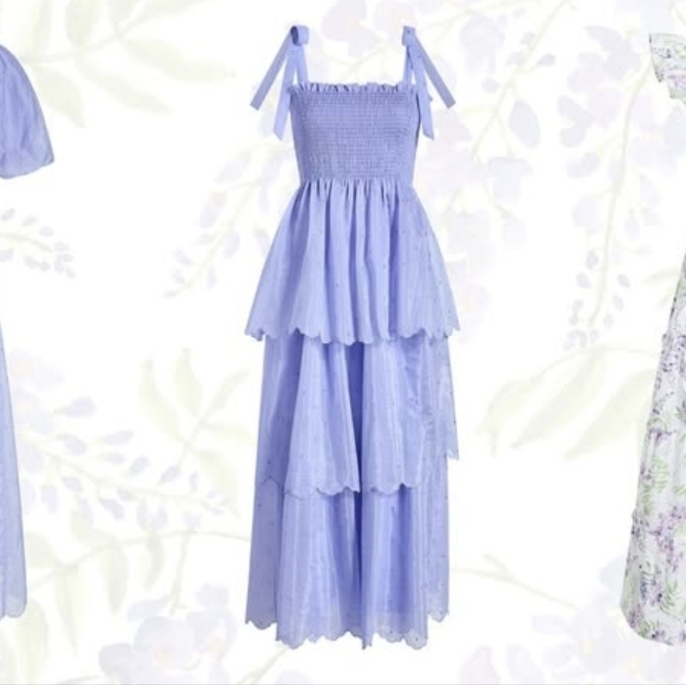 NWT, Hill House Home, Elise Nap Dress, Hyacinth Organza Dot, Size M